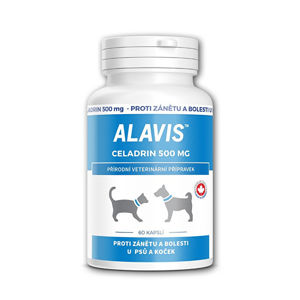 Alavis ALAVIS ™ Celadrin 500 mg