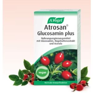 A.Vogel Atrosan Glucosamin Plus - na kĺby 60 tabliet