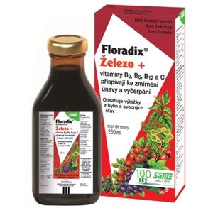 Salus Floradix železo + vitamíny B2, B6, B12 a C 250 ml - ZĽAVA - pokrčený ŠKATUĽA