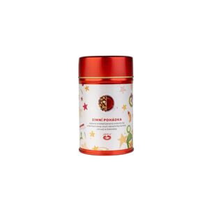 OXALIS Darčekové balenie ovocného čaju - Zimná rozprávka 90 g