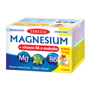 Terezia Company Magnesium + vitamín B6 a medovka 30 kapsúl + DARČEK Vitamin D3 1000 IU 30 kapsúl