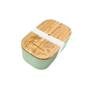 Tropikalia Lunch box L s oddeľovačom - Mint